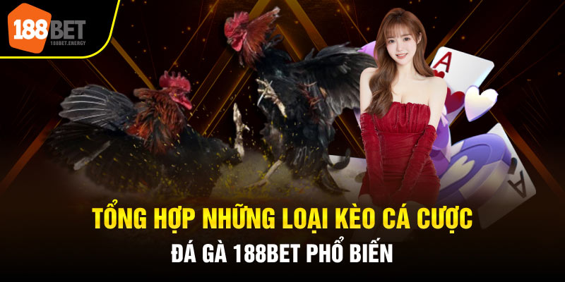 da ga 188bet 3 Tổng hợp những loại kèo cá cược đá gà 188BET phổ biến